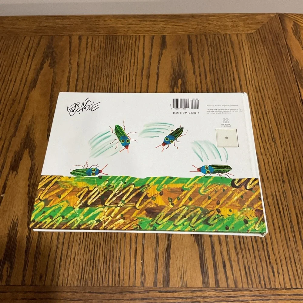 Very busy spider 🕷️ very clumsy click beetle 🪲 & 5 little pumpkins 🎃 Halloween
